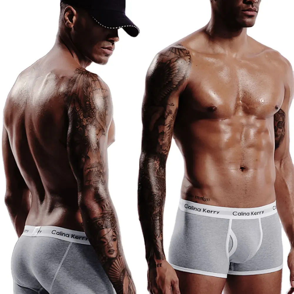 Calzoncillos transparentes de seda para hombre, ropa interior, Sexy, transpirable