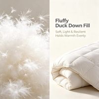 Couette de luxe 90% duvet de canard blanc, fraîche et respirante pour l'été, en tissu polyester, 26-30°C, lavable, grande taille, pour hôtel et maison, personnalisable