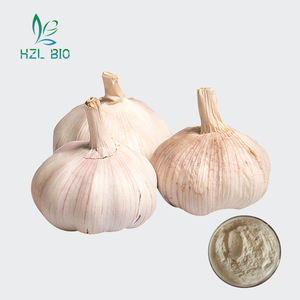 Novo produto personalizado <span class=keywords><strong>natural</strong></span> verde cuidados de saúde extrato de bulbo de alho em pó - Product Image 1
