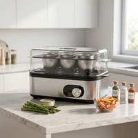 Cuiseur à œufs électrique en acier inoxydable à affichage numérique, cuiseur à riz automatique à quartz, cuiseur vapeur à œufs électrique domestique individuel