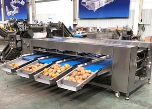 Máquina Clasificadora Automática de Frutas y Verduras de Acero Inoxidable 304 con Lavado para Manzanas, Cebollas, Naranjas, Arándanos, Patatas, Aguacates, Dátiles y Tomates - Product Image 4