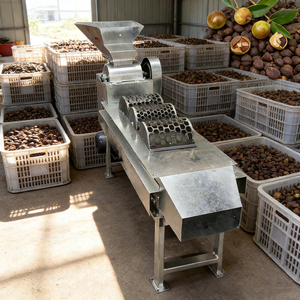 Machine à décortiquer les graines de thé |   Équipement d'écossement et de séparation de graines de thé à économie d'énergie avec tamis vibrant pour usage agricole - Product Image 1