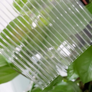 Feuille de plastique <span class=keywords><strong>alvéolaire</strong></span> en <span class=keywords><strong>polycarbonate</strong></span> de 6mm 8mm 10mm pour toit - Product Image 2