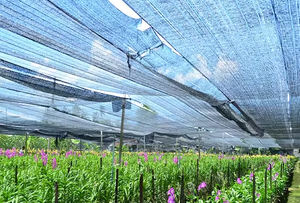 Filet d'ombrage agricole HDPE noir d'usine avec filet en plastique <span class=keywords><strong>de</strong></span> protection solaire traité aux UV - Product Image 6