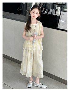 Nuovo Completo Estivo per Bambine in Stile Cinese, Due Pezzi Senza Maniche, Traspirante e Casual - Product Image 1