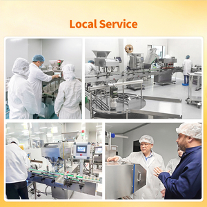 Automatic Capsule Tablet Counter Machine Electronic Tablet Counting Machine - Product Image 2