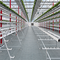 Système de culture hydroponique NFT en serre, équipement de culture hors sol à haute efficacité pour la plantation de légumes agricoles