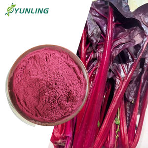Fornitura di fabbrica miglior prezzo estratto vegetale di spinaci in polvere estratto di spinaci rossi 90% quercetina in polvere - Product Image 1