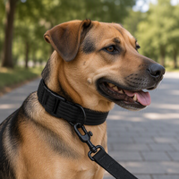 Collier pour chien réglable avec boucle à dégagement rapide, attache laisse en D, sangle de cou pour chiots, chiens de petite, moyenne et grande taille, collier en sangle pour animaux de compagnie