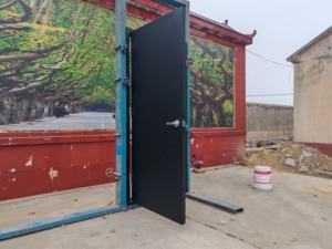 Aço Francês Novas Portas De Segurança Metal Estilo Simples Fogo Aço Avaliado Porta Porta Interior Frontal - Product Image 6