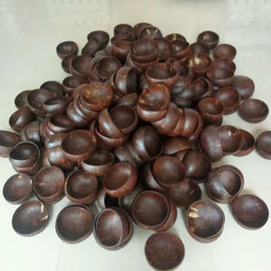 Casa para gatos de jacinto de agua, comederos y bebederos para mascotas, hogar de cáscara de coco natural, para alimentar perros, gatos y animales pequeños en casa, al aire libre y de viaje. - Product Image 3