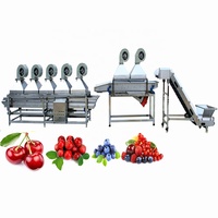 Peer Citroen Vruchten Verwerking Lijn Voor Druif Wasmachine Met Litchi Oranje Sorteren Apparatuur Avocado Drogen Machines