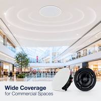 Haut-parleur de plafond Wi-Fi, adapté aux appartements, bureaux, bars et magasins, grille magnétique, connexion Bluetooth personnalisable