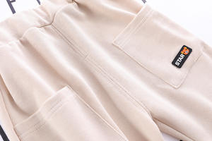 Conjunto de Sudadera con Capucha y Patrón Bordado para Niños, Traje de Otoño e Invierno, Nuevo y Económico - Product Image 4