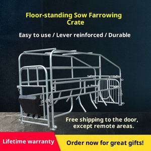 Nouveau lit de maternité de truie en acier galvanisé avec barre de stockage et barre de positionnement pour ensemble <span class=keywords><strong>d</strong></span>'<span class=keywords><strong>élevage</strong></span> à double usage pour l'<span class=keywords><strong>élevage</strong></span> de porcs - Product Image 4