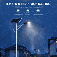 Promotion : Lampadaire Solaire LED en Fer Estampé, Étanche IP65, pour Extérieur et Parking, 100W, 200W, 300W