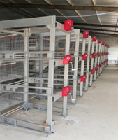 Équipement d'élevage de poulets de chair automatique galvanisé moderne, cage à poulets de chair de type H pour 60 à 80 poulets, un ensemble
