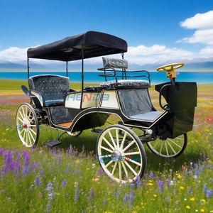 Carruaje Turístico Eléctrico de Doble Fila, Carruaje de Uso Común en Bodas y Hoteles, Carruaje Romántico Estilo Cenicienta, Gran Venta - Product Image 3