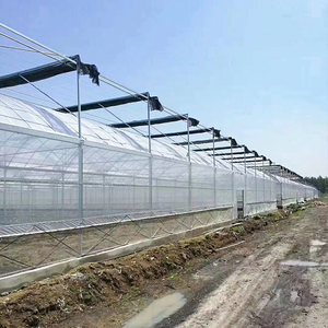 Struttura per Serra Agricola Multispazio, Tunnel per Coltivazione di Ortaggi, Serra in Policarbonato Multi-Campata, Serra per Fiori - Product Image 2