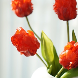 Tulipán Artificial de 5 Cabezas Simulado, Decoración para el Hogar, Flor Artificial para Hoteles, Restaurantes, Oficinas, Planta Artificial para Decoración del Hogar - Product Image 4