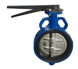 Estándar DIN de Dos Pulgadas, Tipo Manual de Acero Inoxidable para Alta Temperatura - Product Image 1
