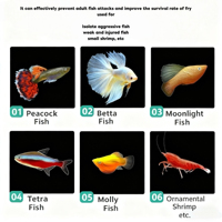 Aquarium Aquarium Aquarium Écloserie Incubateur Boîte D'élevage Acrylique Blanc Éleveur Isolation Diviseur Boîtes D'éclosion Accessoire Petits Poissons