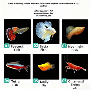 Tanque de peces para acuario, incubadora, caja de cría, divisor de aislamiento de criador <span class=keywords><strong>blanco</strong></span> acrílico, cajas de incubación, accesorio para peces pequeños - Product Image 2