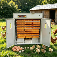 Incubateur automatique 2 en 1 œufs à couver/2000 incubateur électrique d'œufs de poule setter éclosseur HJ-IH2112