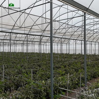 Grillage soudé en acier GT pour bacs de semis, serres et bancs roulants