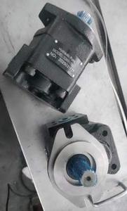 Pompe à engrenages hydraulique OEM 3269111190 3269110461 3269110077 3269131031 3269-111190 Simple et Multiple AT169030 Hydr - Product Image 6