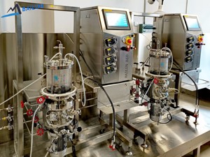 Labor Fermenter GMP Magnetisches Rühren 5L Glas Tier zelle Bio reaktor Fermenter Preis BLBIO-5GCA - Product Image 2