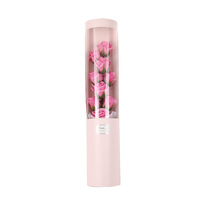 Bouquet de roses artificielles en savon dans une boîte tube avec lumière LED blanche, cadeau pour la fête des mères
