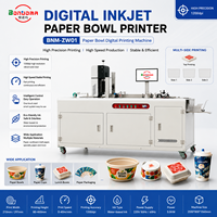 Impresora Digital de Inyección de Tinta para Vasos de Papel Absorbente, Cajas de Alimentos, Embalajes de Kraft, con Impresión de Alta Resolución
