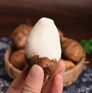 Nhà Máy Giá xuất khẩu Trung Quốc tươi khoai môn gốc tươi và không khí khô rau đông lạnh khoai môn để bán - Product Image 6