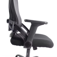 Chaise de bureau en maille noire ergonomique avec support lombaire réglable, accoudoirs pivotants, hauteur réglable pour usage au bureau