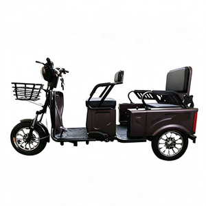 Tricycles électriques à trois <span class=keywords><strong>roues</strong></span> pour adultes, tricycle électrique 48V/60V, vélo électrique à <span class=keywords><strong>3</strong></span> <span class=keywords><strong>roues</strong></span> avec toit - Product Image 2