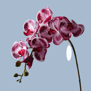 Decoración para Sala <span class=keywords><strong>de</strong></span> Estar, Flor Artificial <span class=keywords><strong>de</strong></span> Phalaenopsis, Orquídea <span class=keywords><strong>de</strong></span> Estilo Europeo, 8 Cabezas, Tacto Humectante - Product Image 3