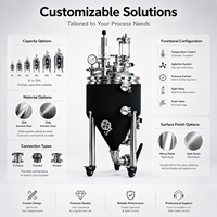 Cuve de Fermentation Sanitaire en Acier Inoxydable Poli Miroir pour l'Industrie Pharmaceutique et Biotechnologique