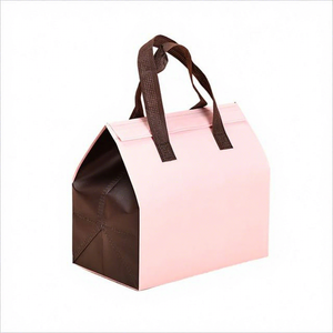 Bolsas Térmicas Aislantes Desechables Biodegradables Personalizadas al por Mayor, Forradas con Papel de Aluminio para Bebidas y Café - Product Image 1