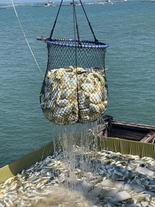 ¿Cuáles son los Beneficios de las Jaulas Flotantes para Peces de HDPE? Resumen de Precios y Capacidades - Product Image 3