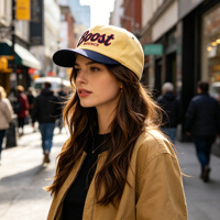 Casquette de baseball ajustable à deux tons en coton sergé brodé de haute qualité, personnalisable