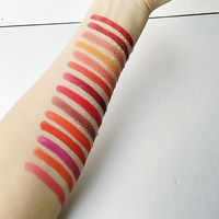 Ensemble de rouge à lèvres mat tendance style cigarette, ensemble de rouge à lèvres longue tenue non desséchant, rouge à lèvres à marque privée pour ensemble de maquillage cadeau