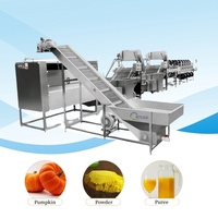 Ligne de production de poudre de farine de citrouille à usage commercial