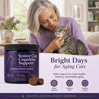 Compléments alimentaires pour chats seniors en vrac : Friandises molles au champignon Crinière de lion pour la fonction cognitive et la santé cardiaque et visuelle