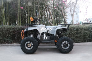 Nouveau <span class=keywords><strong>quad</strong></span> agricole chinois automatique de 150 cm3, <span class=keywords><strong>quad</strong></span> <span class=keywords><strong>pas</strong></span> <span class=keywords><strong>cher</strong></span> avec transmission par arbre, moto tout-terrain - Product Image 4