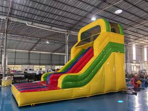 Tùy chỉnh thương mại trẻ em người lớn trượt nước Bộ sưu tập trượt bơm hơi để bán - Product Image 4