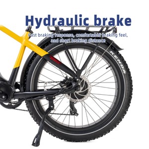Vélo de route sportif au lithium 750W 48V 20Ah avec cadre et pneus en aluminium, tout-terrain, haute performance 750W, en stock aux États-Unis - Product Image 6