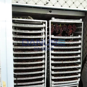Highly Efficient Grape Drying Oven Room Grape Dehydrator Processing Equipment Fruit Drying Machine - Product Image 2