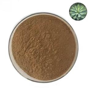 100% 天然植物エキス粉末リュウセンツラン葉エキスリュウセンツラン - Product Image 2