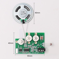 Modul Perekaman Audio AUX MP3 Kualitas Tinggi Chip Sensor Cahaya Modul Musik Yang Dapat Direkam